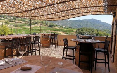 domaine mathiflo